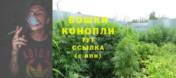 spice Баксан