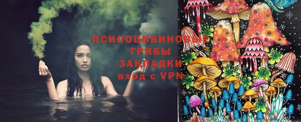 spice Баксан