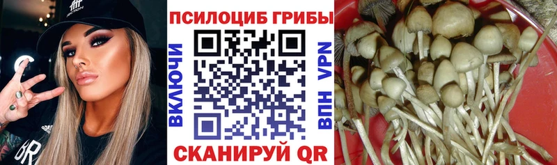 Псилоцибиновые грибы MAGIC MUSHROOMS  ОМГ ОМГ как зайти  Реж 
